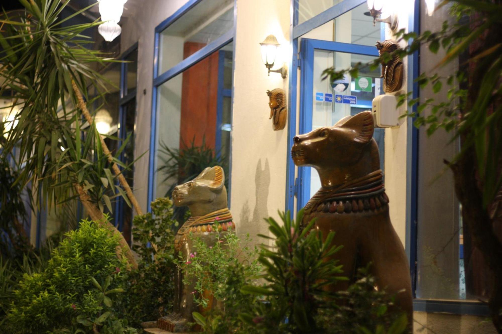 El Gezira Garden Hotel Luxor Eksteriør bilde