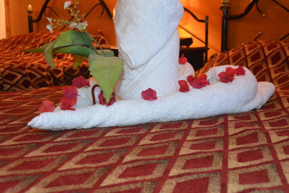 El Gezira Garden Hotel Luxor Eksteriør bilde